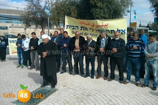 dahmash ma7kama 3oliay (1).JPG